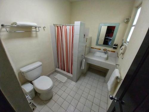 a bathroom with a toilet and a sink and a shower at Santa Maria del Cabo in San José del Cabo