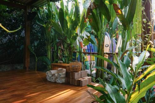 Κήπος έξω από το Dream Surf House Santa Teresa (Playa Hermosa)