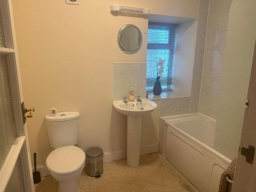 3 Bed Cottage in the Peaceful Village Wanlockhead في Wanlockhead: حمام مع مرحاض ومغسلة وحوض استحمام