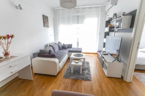 a living room with a couch and a tv at ANAMARIE Apartment, free parking, Belgrade, Center, SRB in Vračar (historical)