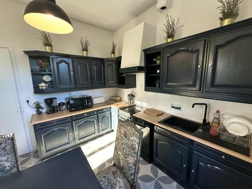 a kitchen with black cabinets and a sink at Maison spacieuse à Saint-Florentin, 138 m², avec jardin in Saint-Florentin
