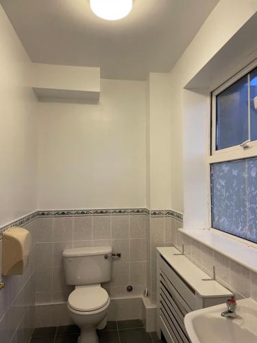 łazienka z toaletą, umywalką i oknem w obiekcie Coastguard Lodge Hostel at Tigh TP w mieście Dingle