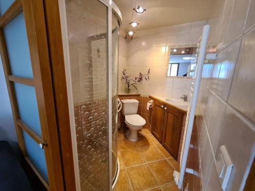 een badkamer met een toilet, een wastafel en een douche bij Studio Vintage in Carnoules