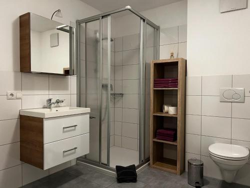 a bathroom with a shower and a sink and a toilet at apart belmonte in Wald am Arlberg