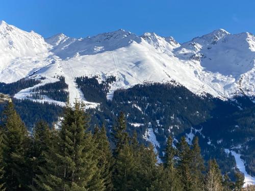 a snow covered mountain with trees in the foreground at Haus Ladner in See