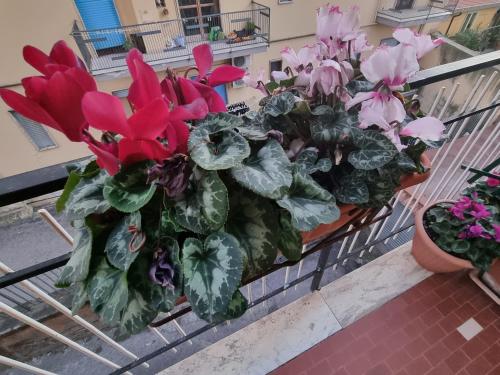 a bunch of flowers sitting on a balcony at B&B Estia Domus in Pompei