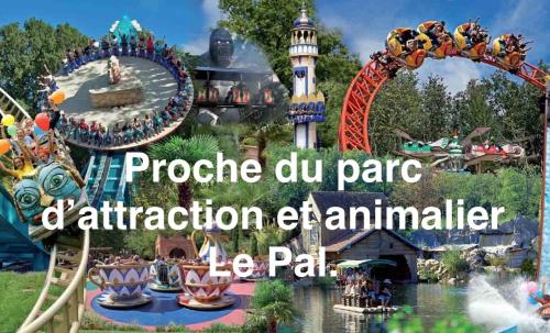 an amusement park with a roller coaster and a water park at Les Pichies, T2 Maxou, centre ville. in Digoin