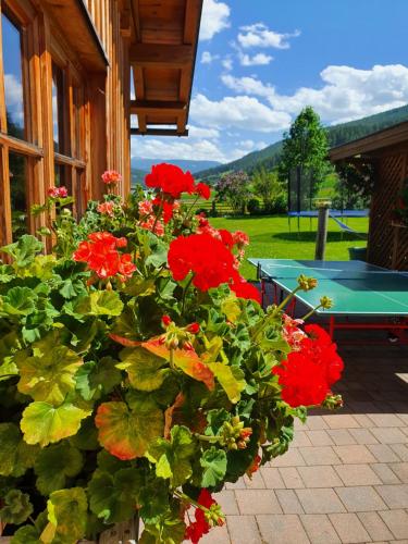 a pot of red flowers in front of a house at Ferienwohnungen Haus-Holzer in Mauterndorf