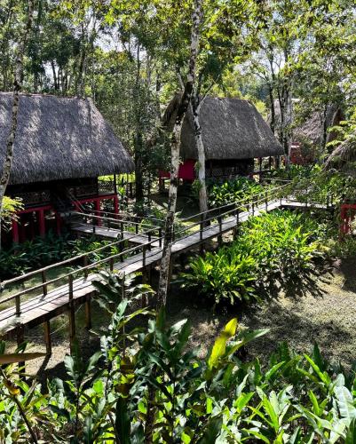 a group of buildings with thatched roofs in a forest at Las Guacamayas Lodge, Selva Lacandona, Chiapas México in Tlatizapán