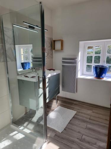 a bathroom with a glass shower and a sink at Domaine Bassy in Saint-Gengoux-de-Scissé
