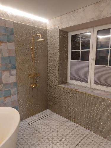 ein Bad mit einer Dusche und einem Waschbecken in der Unterkunft Apartamentai poilsiui in Telšiai