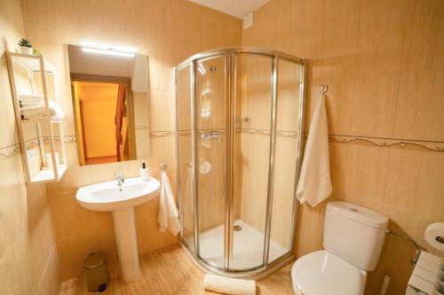 ein Bad mit einer Dusche, einem WC und einem Waschbecken in der Unterkunft Casa Galetxo, junto a Bardenas Reales y Sendaviva in Valtierra