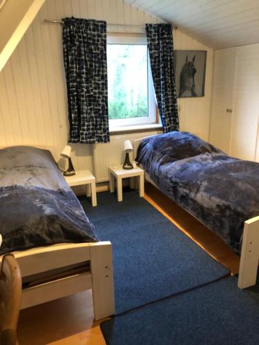 two beds in a room with a window at Lillebo in Lütjensee