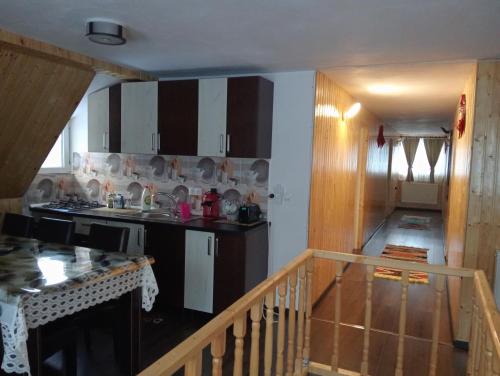 a kitchen with a sink and a counter top at Cabana Daria in Gîrda de Sus