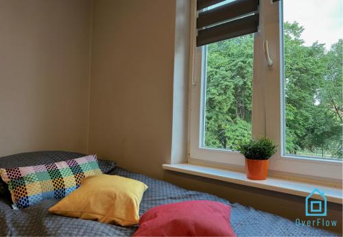 a bed with two pillows sitting next to a window at Strawberry Studio in Gdańsk
