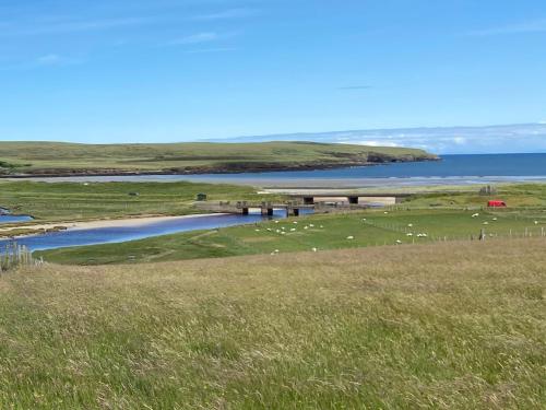 a group of sheep grazing in a field next to a body of water at Croft@42 in Vatsker