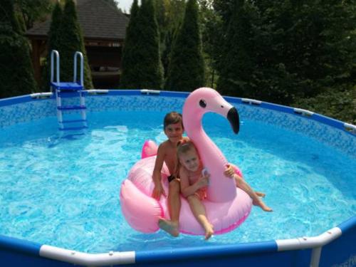 ヴィスワにあるWilla Donaの二人の子供がプールのピンクの白鳥の上に座っている