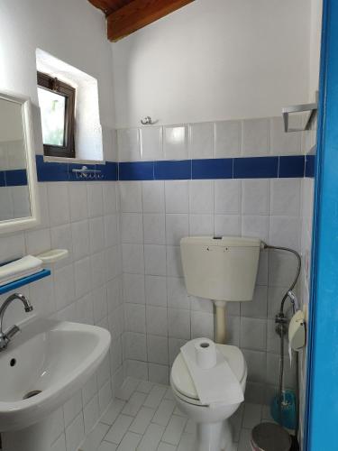 a bathroom with a white toilet and a sink at Oleander's Garden Traditional Cretan Cottage in Ferma