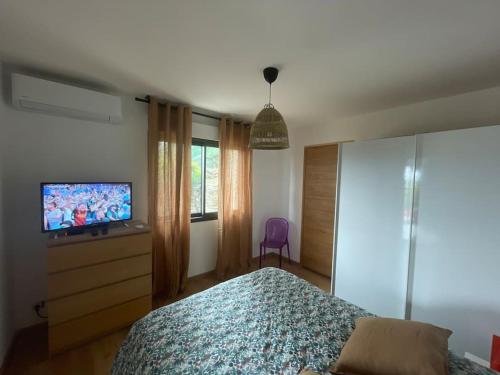 een slaapkamer met een bed en een flatscreen-tv bij le cap in San-Martino-di-Lota