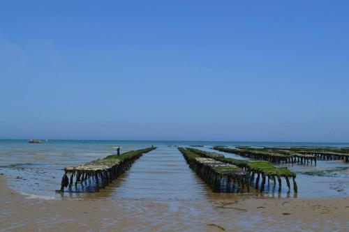 a group of posts in the water on a beach at Apt duplex ou plain pied tout confort plein centre ville Bayeux proche commerces, restaurants, avec terrasse privative ou jardin commun aménagé clos, parking gratuit à proximité, proche plages du débarquement in Bayeux