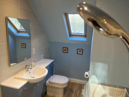 y baño con lavabo, aseo y ducha. en Hill Cottage, Braithwaite en Braithwaite