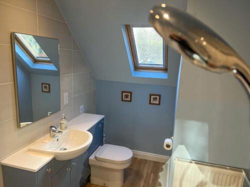 a bathroom with a sink and a toilet and a shower at Hill Cottage, Braithwaite in Braithwaite