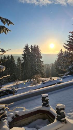 a snow covered yard with the sun in the background at Ferienwohnung Hauptmann in Frauenwald