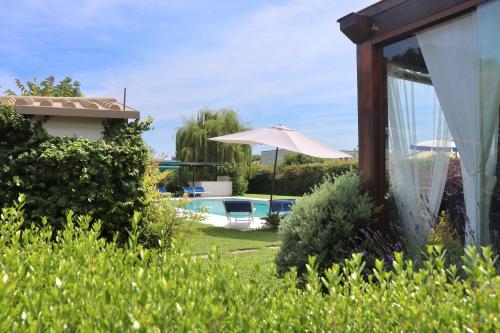 a view of a yard with a pool and an umbrella at Il Toscanello in Lido di Camaiore