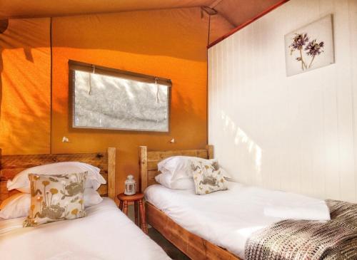 two beds in a room with orange walls at Ham Hideaway Boutique Glampsite in Kent