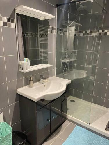 une salle de bain avec un lavabo et une douche dans l'établissement Porte de Paris- les Puces, à Saint-Ouen