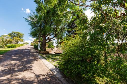 a street with trees on the side of a road at Hotel Morro De Santo Agostinho in Serra Negra