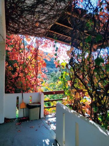 a view from inside of a building with autumn foliage at Oleander's Garden Traditional Cretan Cottage in Ferma