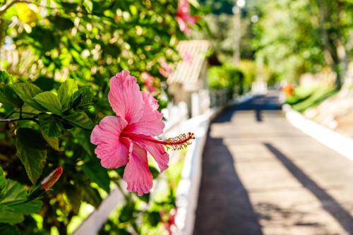 a pink flower on the side of a fence at Hotel Morro De Santo Agostinho in Serra Negra