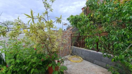 a garden with a hose attached to a brick wall at TAHITI - Teakavehere Pool in Pirae