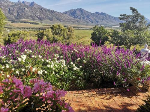 a garden of flowers with mountains in the background at Valley View Eco Country Estate - Paradise in the Winelands in Villiersdorp