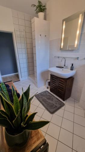 een badkamer met een wastafel en een potplant bij Ferienwohnung Talblick in Bad Lauterberg
