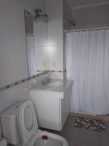 a bathroom with a toilet and a sink and a mirror at Monoambiente en zona centrica con garage in Concordia