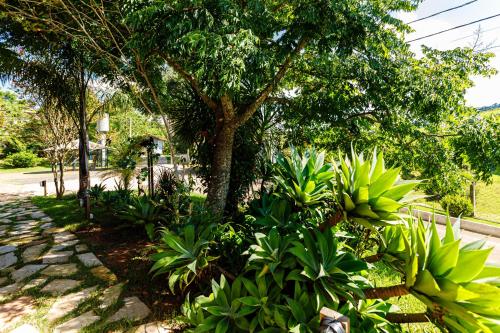a garden with green plants and a tree at Hotel Morro De Santo Agostinho in Serra Negra
