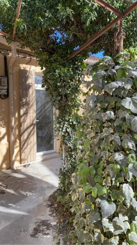 Photo de la galerie de l'établissement Appartement rénové 4 personnes, à Avignon