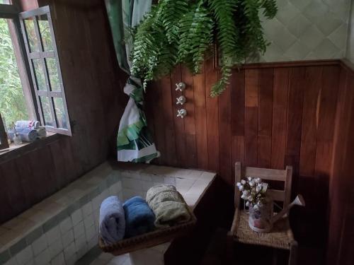Fotografie z fotogalerie ubytování Teques Escape Natural v destinaci Xoxocotla