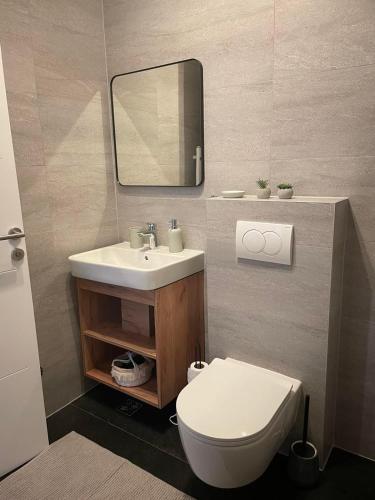 a bathroom with a sink and a toilet and a mirror at GO Jahorina by Olympic Gardens in Jahorina