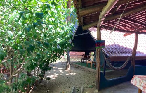 Taman di luar TamaHostel & Glamping
