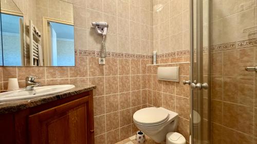 a bathroom with a toilet and a sink and a shower at Domaine Bois De Capy in Proissans