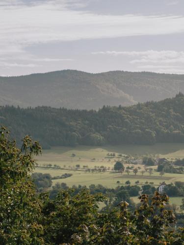 a view of a field with trees and hills at ArtBau Designhotel in Waldkirch