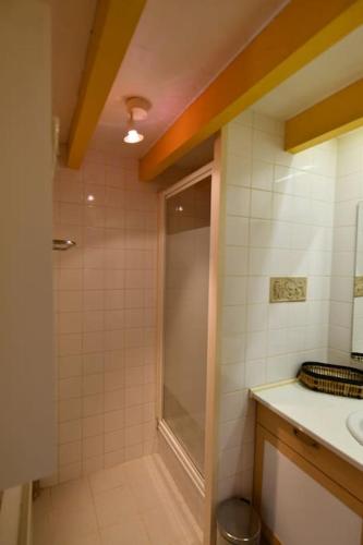 une salle de bain avec douche et lavabo dans l'établissement Jolie maison de campagne au bord d'un ruisseau, à Vinon