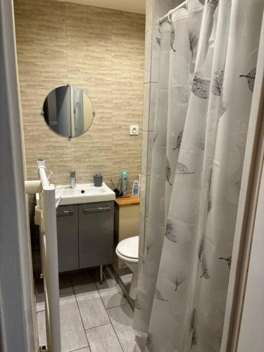 une salle de bain avec un lavabo et un rideau de douche dans l'établissement Le studio dijonnais, à Dijon