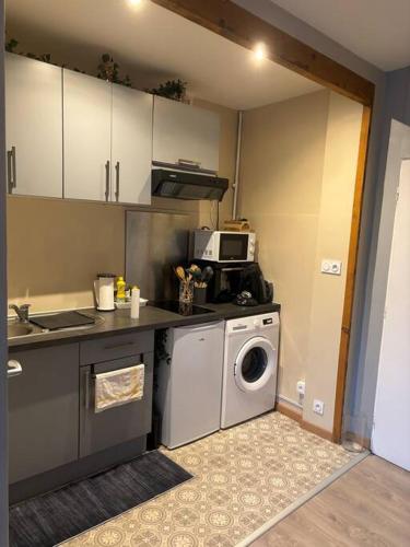 une cuisine avec un lave-linge et un lave-linge dans l'établissement Le studio dijonnais, à Dijon
