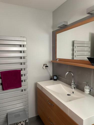 ein Badezimmer mit Waschbecken und Spiegel in der Unterkunft Charmante villa au calme proche de Montpellier, mer et rivière Animaux acceptés in Saint-Gély-du-Fesc