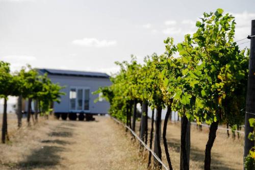 Zahrada ubytování Hounds Run Vineyard - Tiny House in the Grampians