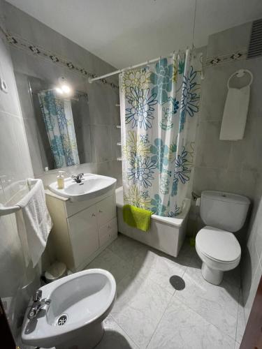 een badkamer met een wastafel, een toilet en een douchegordijn bij APARTAMENTO PURI in Candeleda
